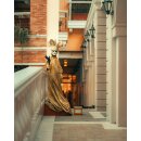 Meike Portraitobjektiv 85mm F1.4 Autofokus Vollformat STM für Nikon Z Mount Kameras